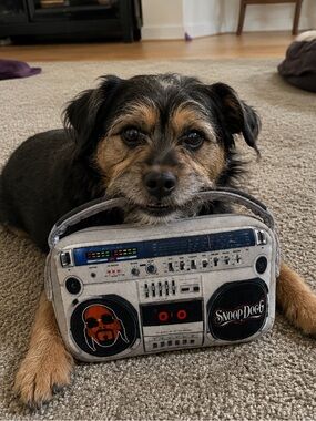 Snoop Dogg Boombox Dog Toy - sound does not work NWT